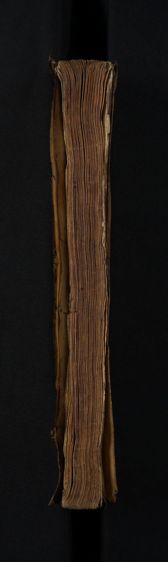 digitised image 3