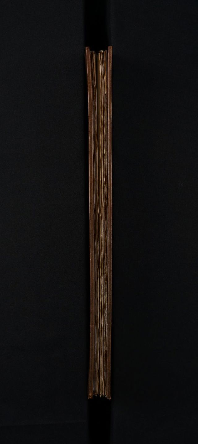 No text description is available for this image