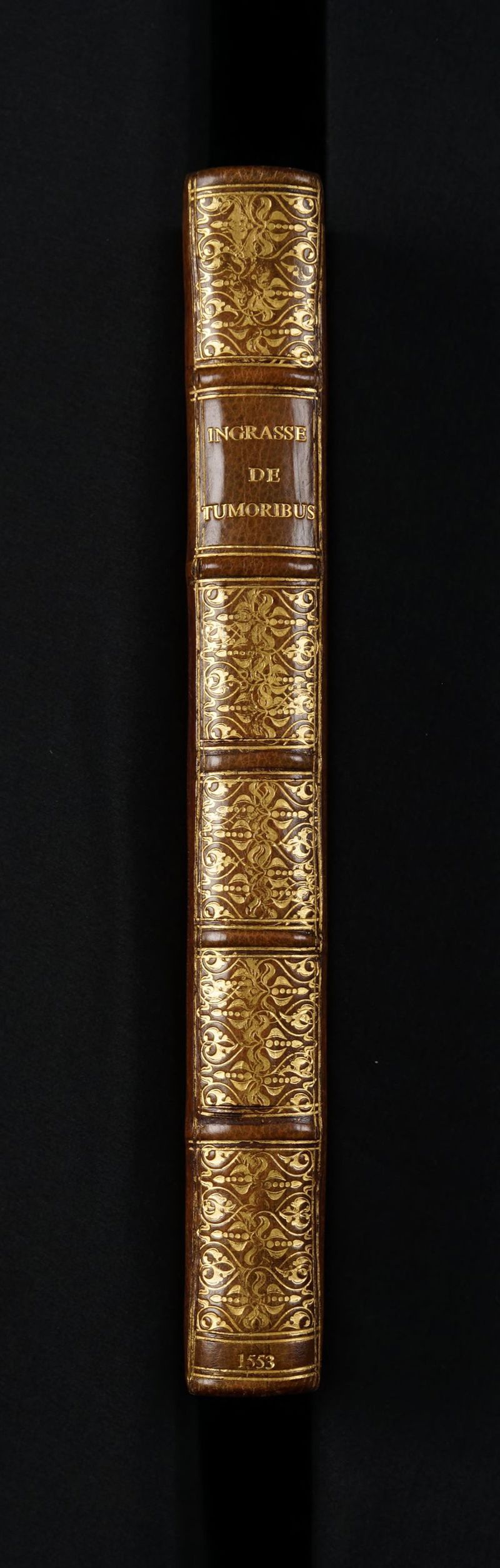 No text description is available for this image