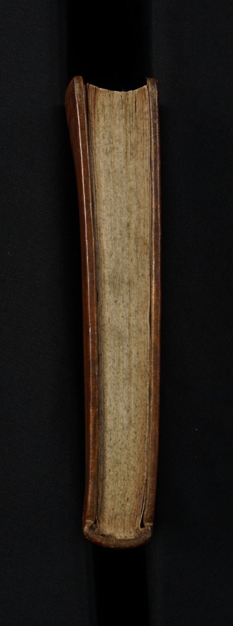 No text description is available for this image