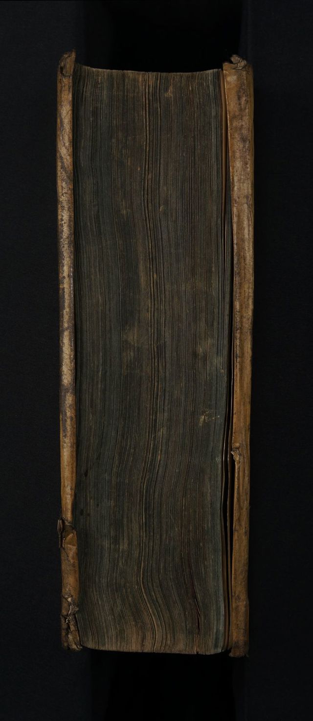 digitised image 3
