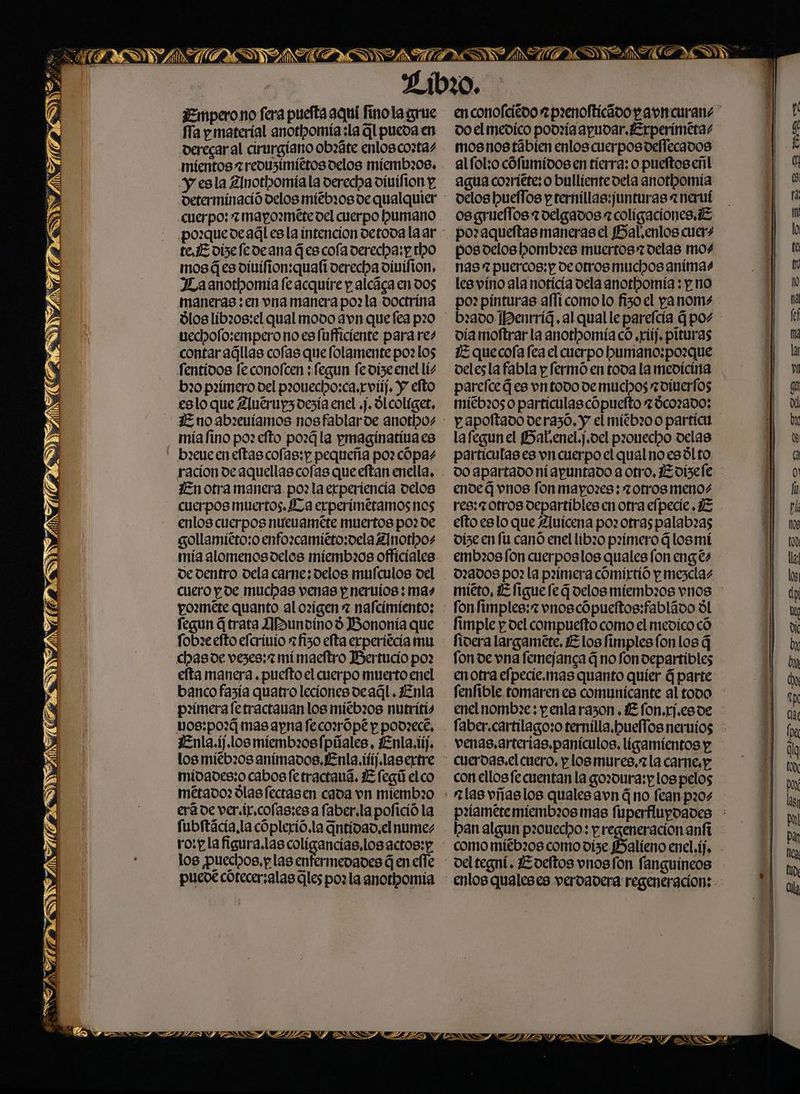 m3.” eS mo .., cm qu y. =s: NET RES AS ESNSAÑHTIN (GR: = INN ¿Empero no fera puefta aquí finola grue Ta y materíal anotpomía ¿la Gl pueda en derecaral cirurgíano obzáte enloscorta. mientos 7reouzimittos delos míemb:08. y esla 2lnotlpomía la derecha dinifion y te, E diseledeana G es cofa derecha: p ro mosáesviuifion:quafi verecha dinifion, a anorhomía fe acquíre y alcága en DOS maneras :en vna manera po: la doctrina dlos líbz0s:el qual modo avn que fea p20 uechofo:emperono es fufficiente para res contar aúllas cofas que folamente poz los fentidos fe conofcen :fegun fevize enel lís b20 pxímero del paouecho:ca.rviíj. y efto eslo que Zluérup3oezía enel .j. dl coliget, - míafino po: efto pozGla pmagíinatitaes bxeueen eftas cofas:p pequeña po? cópaz racion de aquellas cofas que eftan enella, En otra manera po? la erperiencia velos cuerpos muertos. La experimetamos nos enlos cuerpos nuenaméte muertos po? de gollamiéto;o enforcamiéto:vela 2]nothos enconolciévo a poenofticidoparncurane * do el mevdico podzía ayudar. Erperímeras mosnostábien enlos cuerpos dellecavos alfol:o cófumidos en tierra: o pueltoseñl agua corriéte: o bulliente dela anothomía velos huellos y ternillas:junturas =neruí osgruellos 7 delgados a coligaciones ¿E pozaqueftas manerasel MBal.enlos cuers pos delos hombxes muertos? delas mos nas? puercos: y deorros muchos animas les vino ala noticia dela anothomía : p no po? pinturas aflícomolo fizo el panoms vía moftrar la anothomía có ,riij. pituras J3 quecoía fea el cuerpo bumano:porque velesla fabla p fermó en tova la mevicina pareíceG es vntodo ve muchos oínerfos míeb205 0 particulascópuefto zÓco2a00; p.apoftado deraz0. y el míéb:00 particu lafegun el BHatenel.j.del prouecho delas particulas es vn cuerpo el qual no esólto DO apartado ni apuntado aotro, Evisele ende Q vnos fon mapozes; zotrog menos - res:z otros departibles en otra efpecie . 15 efto eslo que Zluícena poz otraspalab:as víse en fu canó enel libi0 p2ímero Glosmí mía alomenos delos miembros officiales de dentro. dela carne; delos muículos del cuero pde muchas venas p nervios: mas pozméte quanto al origen 7 nafcimiento: fegun G trata ABuntinoó Bononía que fob2e efto efcrinio 7 fizo efta erperiécia mu chasde veses: mí maeftro Bertucio po? E embros fon cuerposlos quales fon engés 022005 po: la paimera cómirtió p mesclas miéto, ZE figueleG delos míembi08s vnos : - fonfimples:z vnoscópueltos:fabládo dl fimple y del compuefto como el medico có ftoera largaméte, ¿Elos fimples fon los q fon de vna femejanca Gno fondepartibles ÚSEA NA ES An pe SS eta manera , puefto el cuerpo muerto enel banco fazía quatro lecionesdeaál. Enla pxímera fetractanan los míeb20s nutritis vOs:po2¿ mas apna fecorrópé y pod:ecé, ¿Enla.íj.los miembros fpúales, ¿Enla.iíj. midades:o cabos fe tractaná. Wfegú elco métado: Úlasfectasen cada vn miembz0 erá de ver.ir.cofas:es a faber,la pofició la fubftácia,la cóplerió.la ntidad,el numez los puechos, plas enfermevades Gen elle puede cotecersalas gles poz la anorhomía ULT nh NETINOZS E enotra efpecie.mas quanto quier á parte fenfible tomaren es comunicante al todo : enel nombze: penla razon. ¿E fon.rj.es de faber.cartilagoso ternílla.pbuellos nervios : venas,arterias,panículos, ligamientos y cuerdas. el cuero, plosmures.zla carne. y con ellosfe cuentan la gozoura:p los pelos p:íameremíembios mas fuperflupoades : ban algun pz0uecho: y regeneración anfi como míéb208 como dize Balíeno enel.íj.