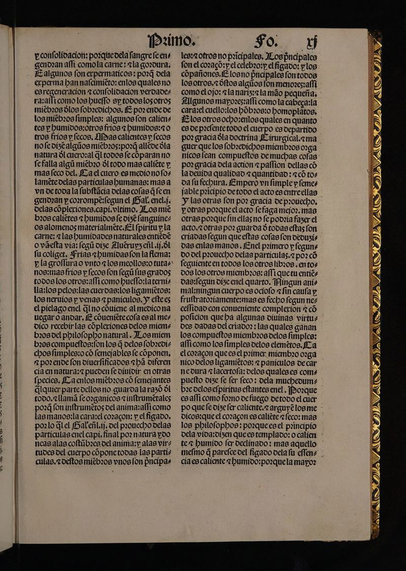 genozan at comola carne: ?la gordura: ra:aíficomo los bueffo sy todos los otros miébao0s dlos fobrevíichos, 3 por ende de losmíiébz0s fimples: algunosfon calíens tes p humidos;:otros frios 7 humídos:7 0 tros fríos p fecos, JIBas calientes y fecos nofedistalgúos mitb:05:poz¿ alléve óla natura dl cuero:al Gl todos fecóparanno mas feco del, Za el cuero es medio nofos lamétedelas partículas humanas: mas a vn de toda la fubitácia delas cofasáfeen genozan p corrompe:fegun el Bat. enel.j. delas copleriones,capí.vltimo, JLos mié bx08 caligtes 7 humidos le vist languínes O0salomenos materíalmete.JEl fpiritu y la carne; zlas humídades naturales entiéoe o váefta vía: fegú dise Zluérup3enl ij, Ól fu colíget. Frias 7humidasfon la flema: p la groflura o vnto* los meollos;o tutas nos:mas frios p fecos fon fegú (us grados todos los otros:aHTi como huelTo:la rernís lla:lospelos:las cuerdas: los ligamíittos: los neruíos y venas zpanículos, y eftees el pielago enel Gl no cóniene al medico na uiegaro andar, ¿E cóueniéte cola esal mes vico recebirlas cópleriones delos miem b20s del philofopho natural. Los miem b20s compueftos:fon los 4 delos fobzevís chosfimples:o có femejables fe cóponen, ra. pozenve fon diverfificados há diferen ciaennatura:z pueden fe dividir en otras fpecies, LZaenlosmiebz08 có femejantes Glquier parte dellos no guaroa larazó dl todo. llamá feozganicos rinftrumetales pozG fon inftrumeros vel anima:alficomo las manos:la cara:el cozacon: p. el figado, pozlo el HalenLij, vel prouecho delas partículas enel capí. Anal poz natura poo neasalas coftúbzes.del anima: y alas vir: £udes del cuerpo cóponetodas las partís culas,7oeltos mítbz0s vnoslon pncipas So. 1 lesyzotros no pricípales, ILospneipales cópañones.¿Zlosno Hncipales fontovos losotros.2óftos algíos fonmenozes:afíi 2!lgunos mapozes:afficomolacabeca:la po? graciadladoctrina irurgical.zma po? gracía dela action 7pallion dellas có la devída qualidad 7 quantidad: có tos da fu fechura. ¿Empero vn fimple y femes y las otras fon po? gracía dep20uecho, potras pozqueelacto fetaga mejor.mas otraspozquefinellas no fe podría fazer el acto.r otras po: guarda d todas eftas fon críadas fegun queeftas colas fon deouzis das enlas manos. Znel paímero pfeguns DO del pa0uecho delas partículas. po: có feguíente en todos los otros lib30s.entos doslos otros miemb?0s: affi quetu entiés das:fegun dise enel quarto, THingun anís mal:níngun cuerpo es ociofo afin cana p fruftratoríamente:mas es fecho fegun nez cellídaocon conveniente complerion 7 có des dADdASDEL criado? : las quales ganan los compueftos miembios delos fimples; alfícomo los fimples delos elemétos, Ma el corzacon que esel primer miembro orga nedura rlacertofa: velos qualeses coms es alli como fozno defiego detodo el cuer cíaes caliente 7 pumido:pozquela mayo: ITAVAOS IDAS y, IIAVALDOS, IDA E == = pa AN DAVARO PRAWATO. NA PIRDVARS DAVIS UOH IS ¿de ( a