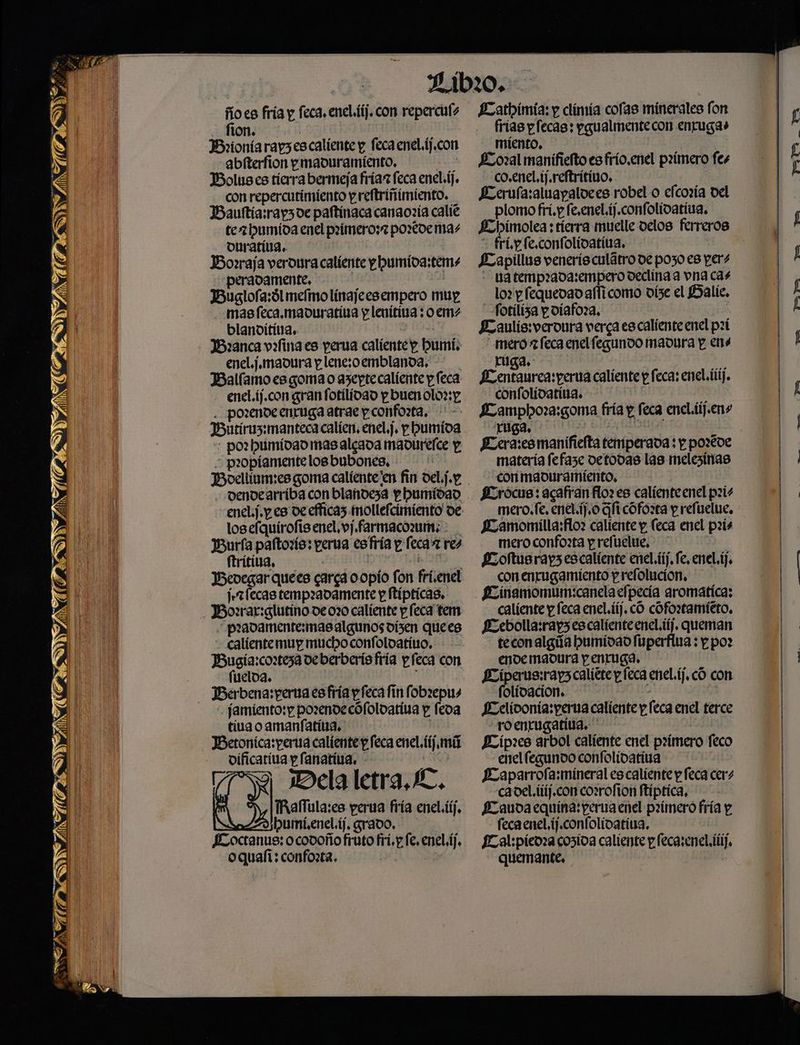 TON PI f a DN ESYINATI Y ÁN As pa” Wá 2 AO IXATP AS -ÑE OS : AS Y A Í CAPIESN ANALES ZN CEC CIÉSDINAS CANATI IES E ñoes fria y feca, enel.ií). con reperculs ¡MON Es y Brionía ray3es caliente y feca enel. if.con -abiterfion pmaduramíento, EE Boluses tícrra bermeja fria feca enel.íf. con repercutimiento preftriñimiento. IBaulftía:rap3de paftinaca cangozía calié te 2 phumíida enel pzimero:? porde nas -Durativa. Bovraja veroura caliente phumida:tenms JBuglofa:3lmefmolinajeesempero mup -masfeca.madurativa y lenitiva ; o em: blanditina. | Banca vafina es perna caliente p Pbumis enel. ¡madura plene:oemblanda, Balíamoesgomao azepte caliente y feca enel.if.con gran fotílidao y buen olo?: y, . porendeenruga atrae pconfozta, - - Burírus:manteca calíen, enel.j. pbumida + po? humidao mas algada madurelce y > paopiamentelosbubones. ] Boellínm:es goma calíente'en fin del.j.p - -dendearríiba con blandeza pbumidad losefquirofis enel, vj.farmacorms:. Buría paltozs; perna esfría y leca res ftrítida, A Ievegar quees garca oopío fon fri.enel juzr[ecas tempradamente y fípticas. pradamente:masalgunos disen quees - caliente mup muchoconfoloatíto, JBugía:co:teza deberberis fría pfeca con fuelda. Berbena:perna es fría pfeca fin fobrepus -jamíiento:p pozendecófoloatina y feva -tiuaoamanfativa. JBetonica:perua caliente p feca enel.fíj mi vificativa pfanatina. - Li ITA Dela letra, LE. | TRalTula:es perua fría enel.tíf, bumi.encl.íj. grado. Loctanus: ocodoño fruto fri. y. fe. enel.íj. oquali: confoxta. a Kathimia: y climía colas minerales fon frias pecas: pgualmentecon enrugas miento, y A : ¿Lo:al manífiefto es frío.enel paímero fes -co.enel.1j.reftritino, | Perula:aluapaloees robel o efcozía Del plomo frí.p fe.enel.ij.confolidativa. Lhbímolea : tierra muelle delos ferreros frip fe.confolidativa. | JEapillus venerís culátro de pozo es pers - ta temp2ada:empero declina a vna cas lo» p fequevad afficomo víse el Balie, fotiliza poíafoxa, Es £aulis:veroura verga es caliente enel paí mero 7 feca enel fegundo madura y ens os caliente p feca: enel. ij. confolídatina. Kamphoza:goma fría p feca encl.iij.ens fera:es manifieíta temperada: y pozréde matería fefaze detodas las melesinas con maduramiento, | j JErocus: acafranflor es caliente enel pei. mero.fe, enel. $, o Gh cófoxta y refuelue. MJ amomilla:fo? caliente y (eca enel pzis mero confo?ta preftelue, Mloftus rap3 es caliente enel.iíj, fe, enel. if, con enrugamiento prefolucion, fLinamomum:canelaefpecía aromatíca: caliente p feca enel. iíf. có cofortamieto, JEebolla:rap3escalienteenel.iíj. queman teconalgúa bumidad fuperfiva : p po? ende madura y entuga. Píperus:rap3 calíére y. feca enel.íj, có con folídacion. | JLelidonia:perna caliente p. feca enel terce roentugatina. ' pS Jlíp:es arbol caliente enel primero feco enel fegundo confolidativa Baparrofa:mineral es caliente p feca cers cadel.íiíj.con cozrofion ftíptica, Pauda equina: perua enel paímero fría y feca enel ij.confolidativa. SL al:piedaa cosida caliente p fecasenel ii, quemante, | or a H—=» “Ys “Ye a — > —