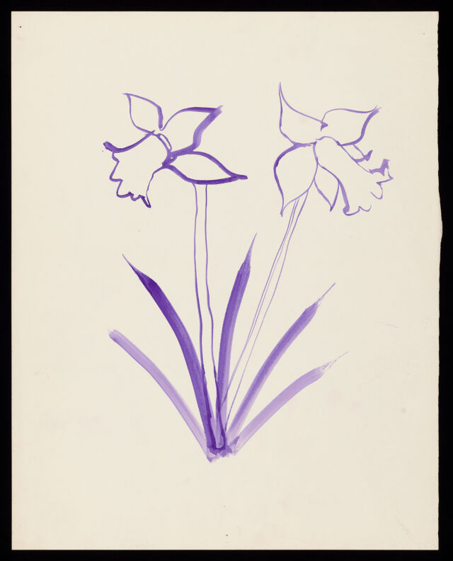 No text description is available for this image