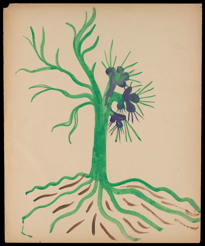 No text description is available for this image