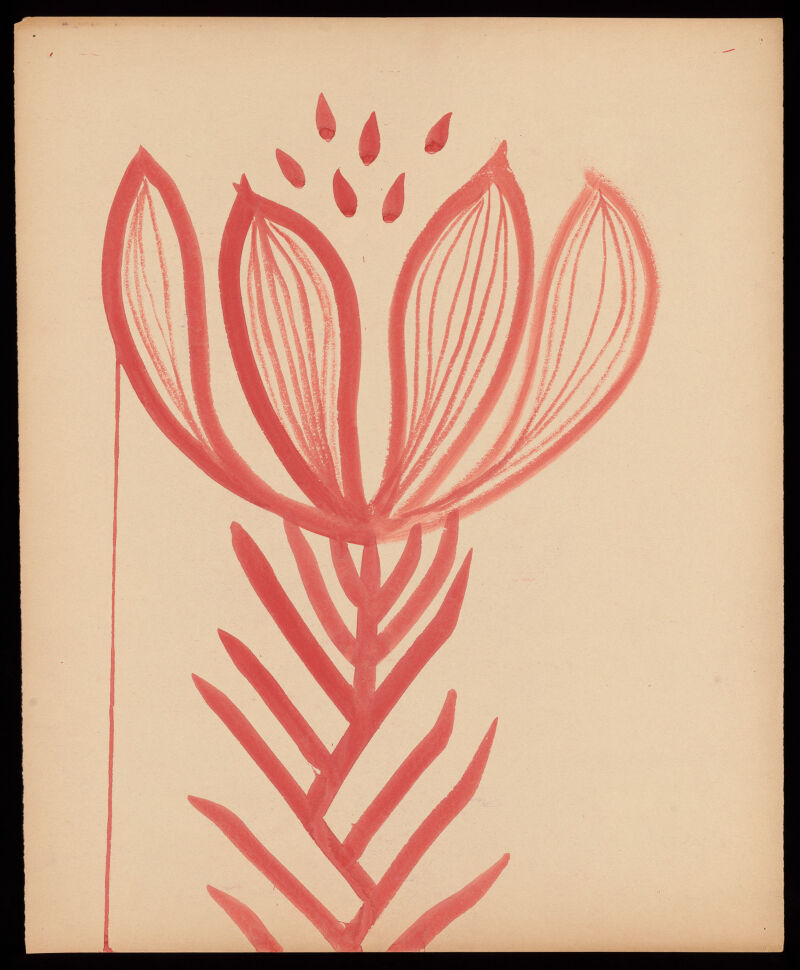 No text description is available for this image