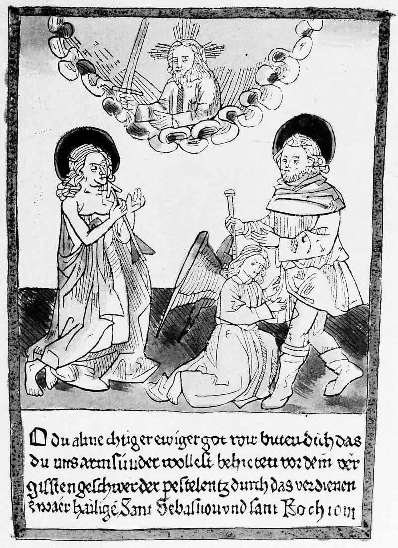 No text description is available for this image