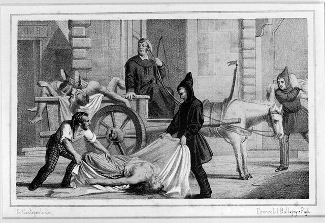 digitised image 1