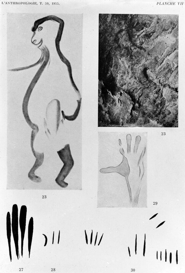 No text description is available for this image