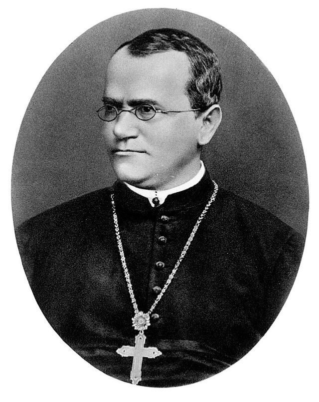digitised image 1
