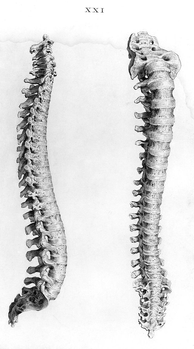 digitised image 1