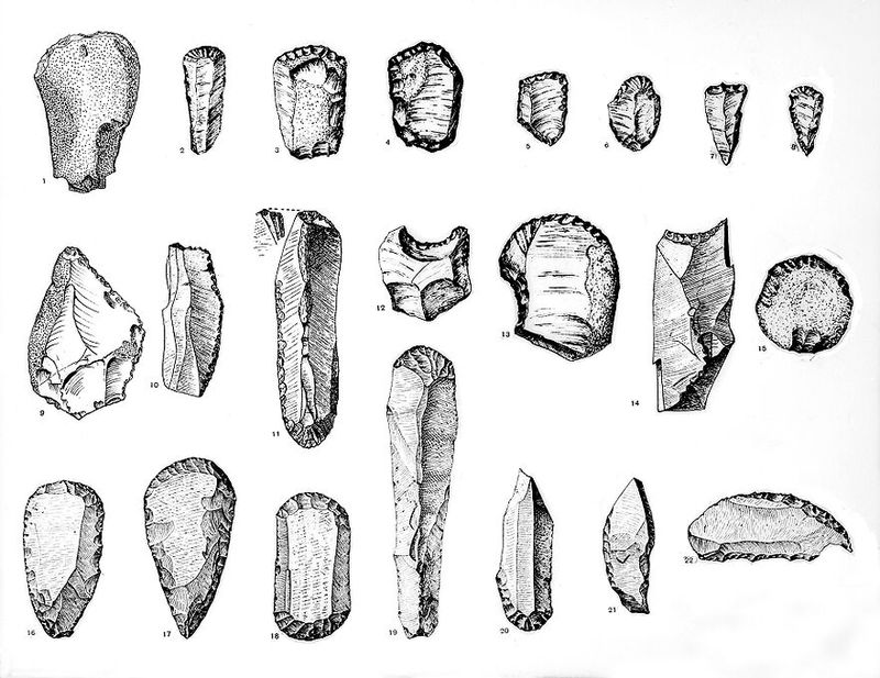 No text description is available for this image