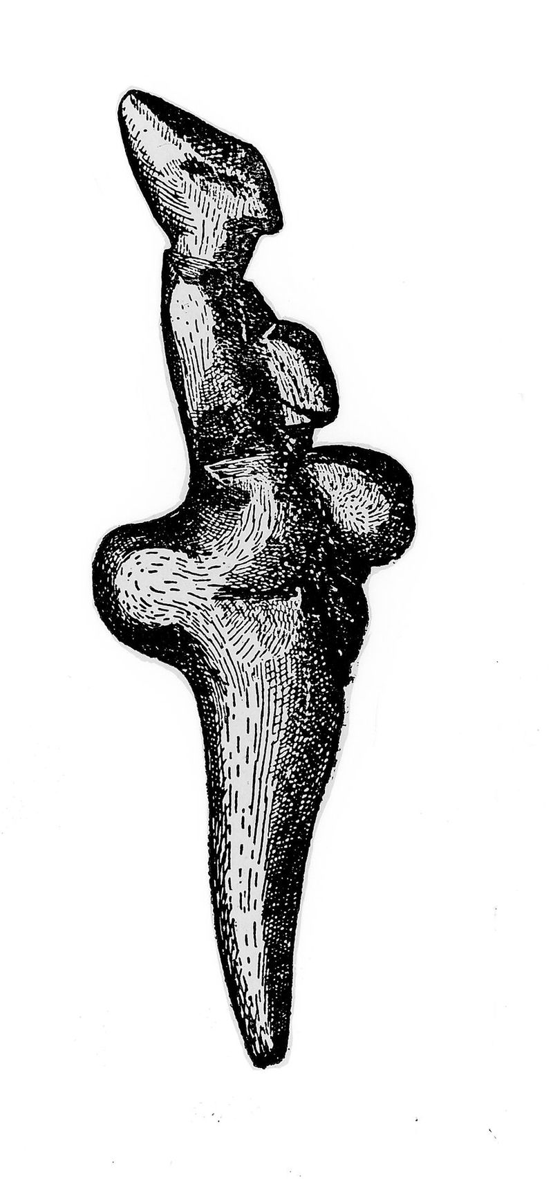 No text description is available for this image