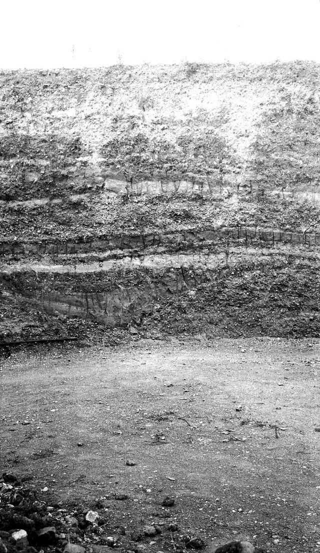 digitised image 1