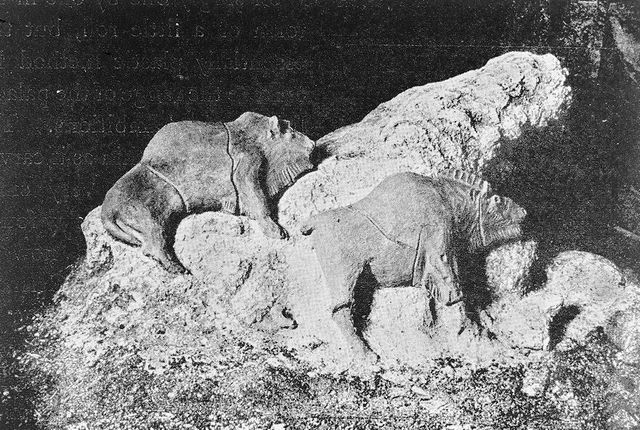 No text description is available for this image