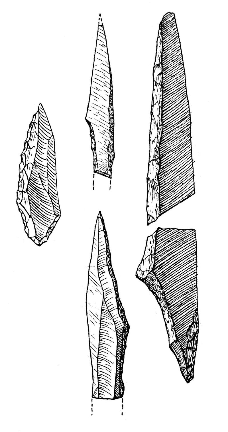 No text description is available for this image