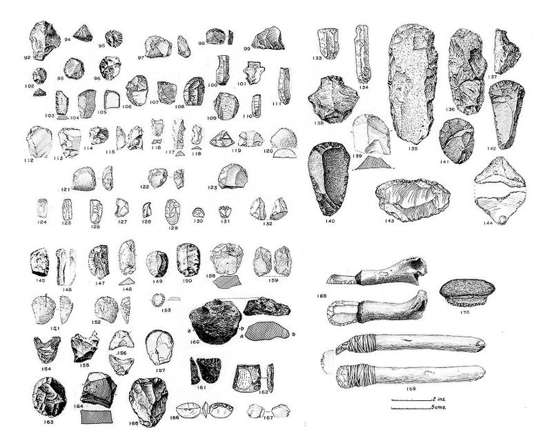 No text description is available for this image