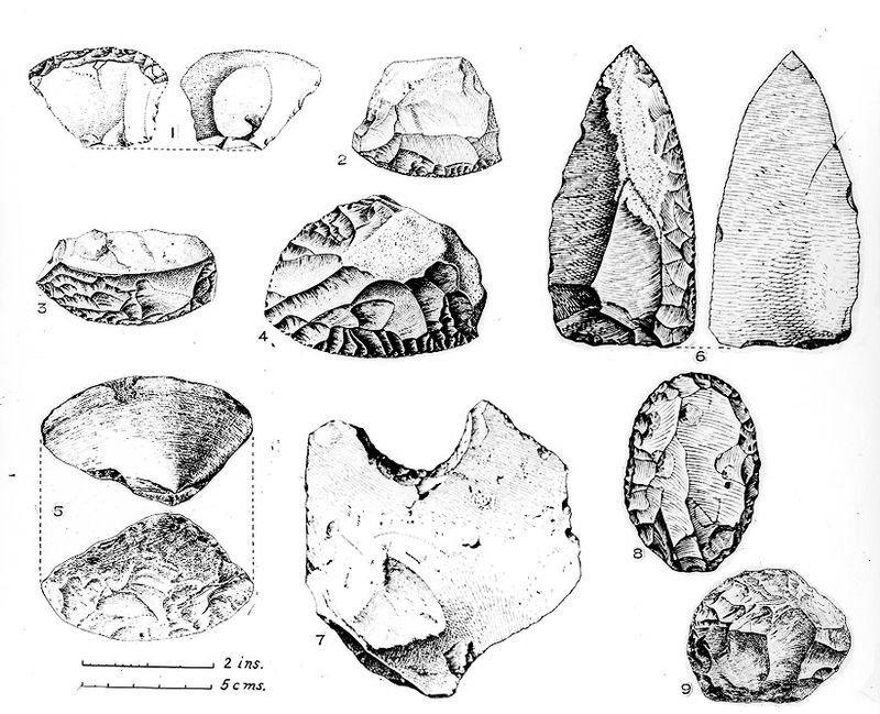 No text description is available for this image