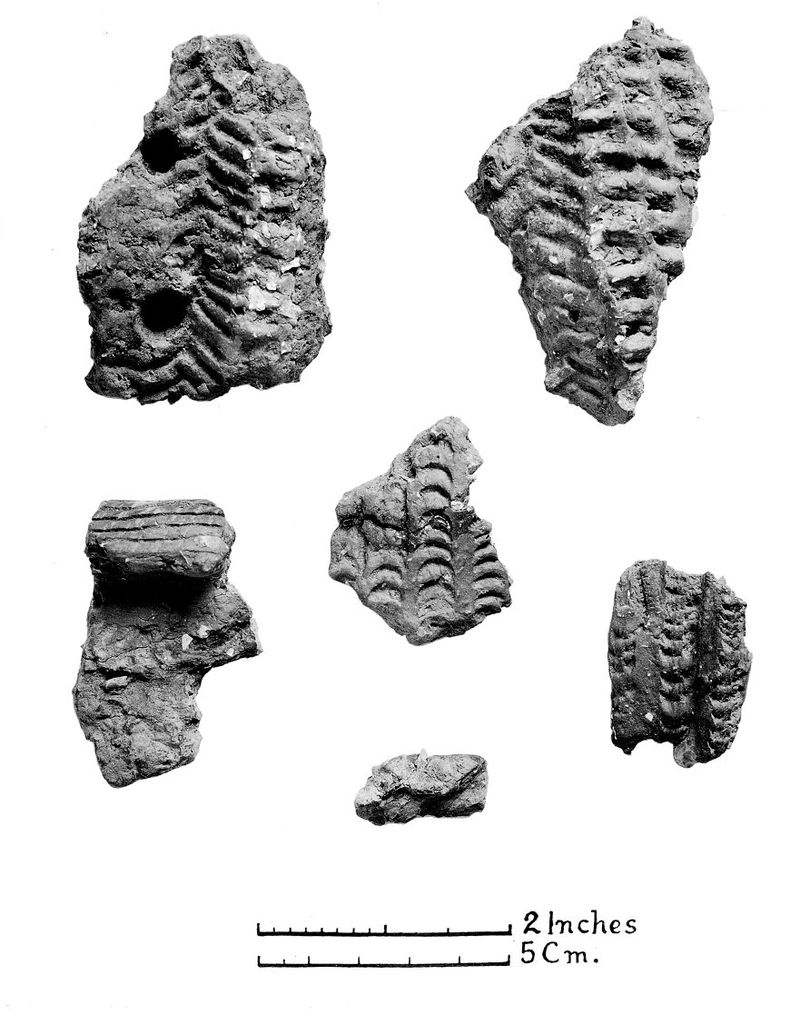 No text description is available for this image