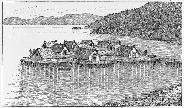 No text description is available for this image