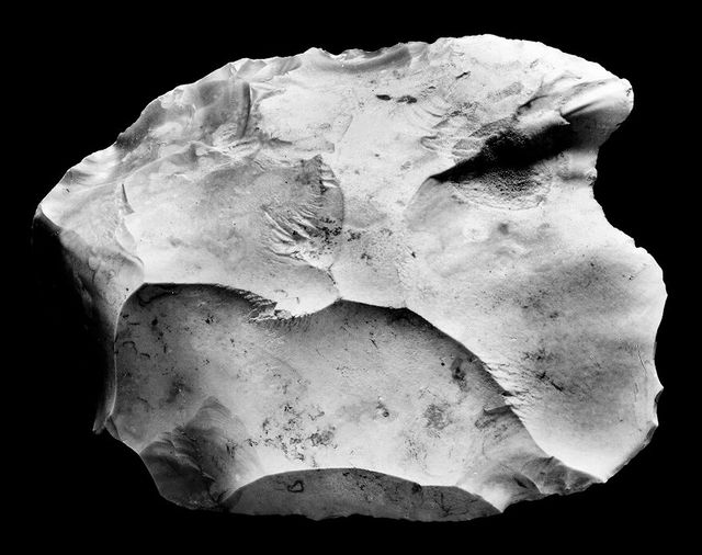 No text description is available for this image