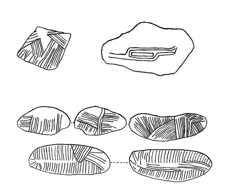 No text description is available for this image