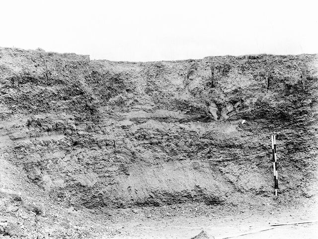 digitised image 1