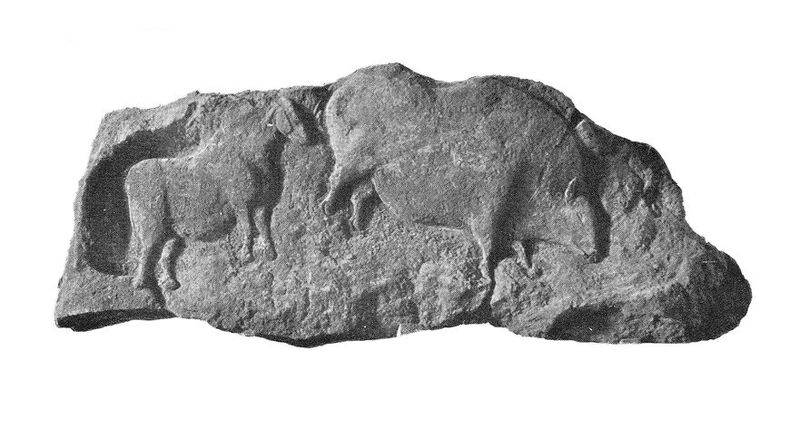 No text description is available for this image