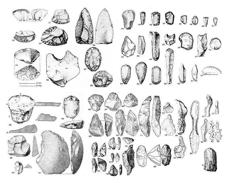 No text description is available for this image