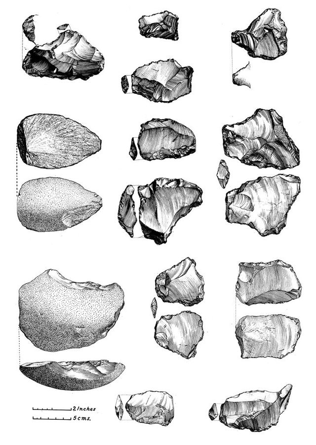 No text description is available for this image