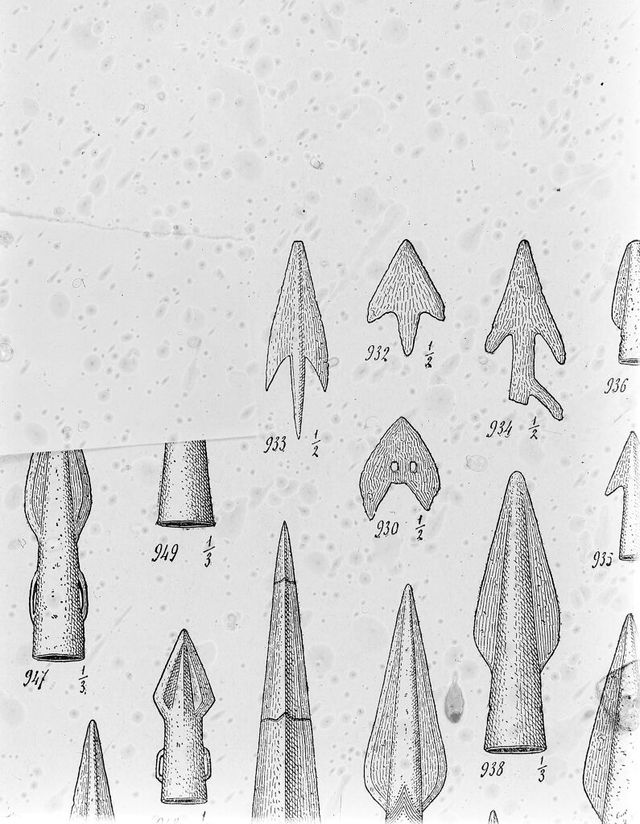 No text description is available for this image