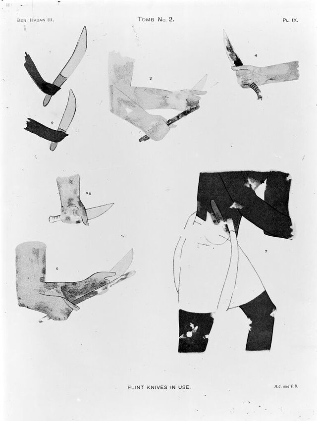 digitised image 1