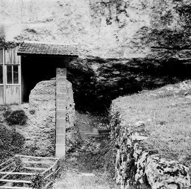 No text description is available for this image