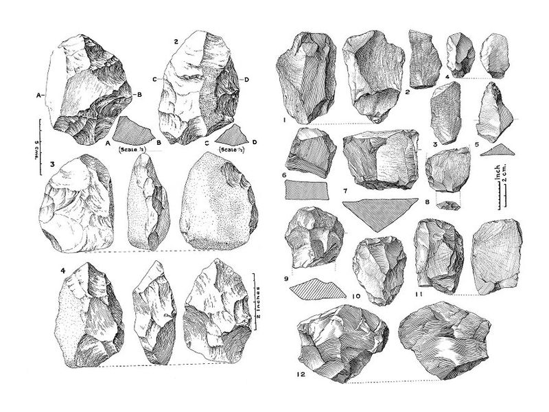 No text description is available for this image