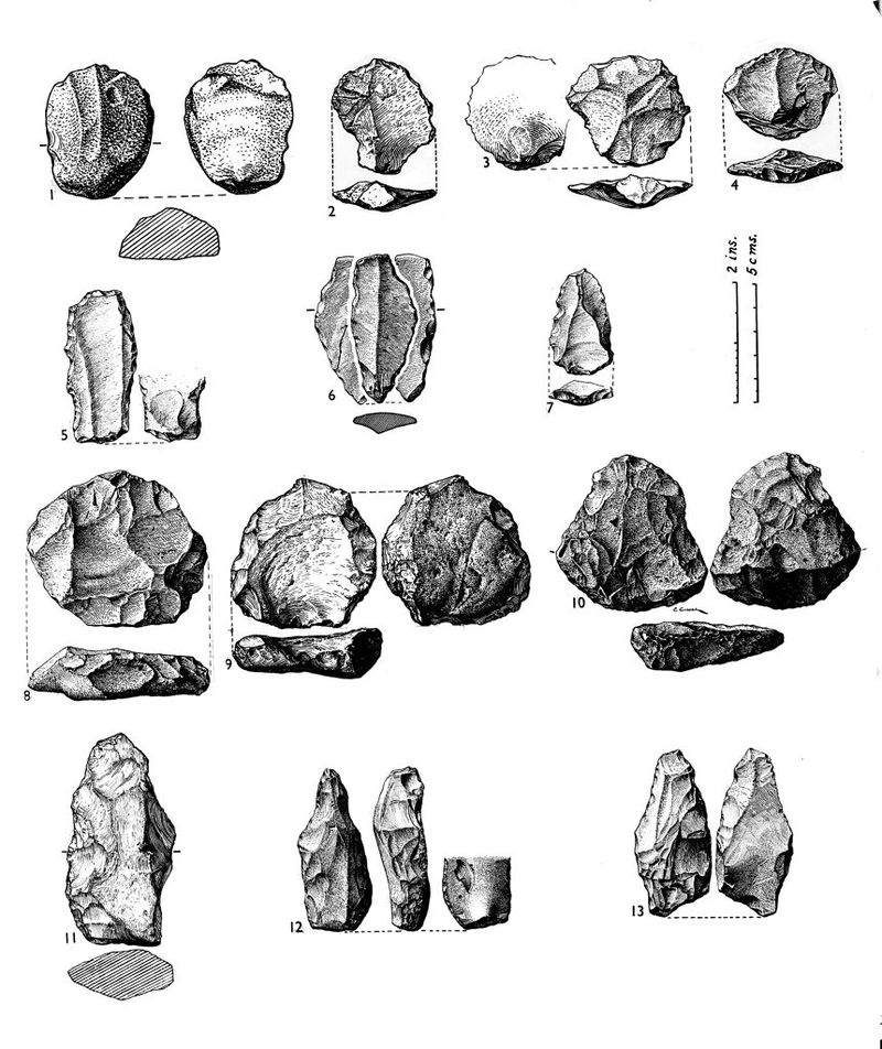 No text description is available for this image