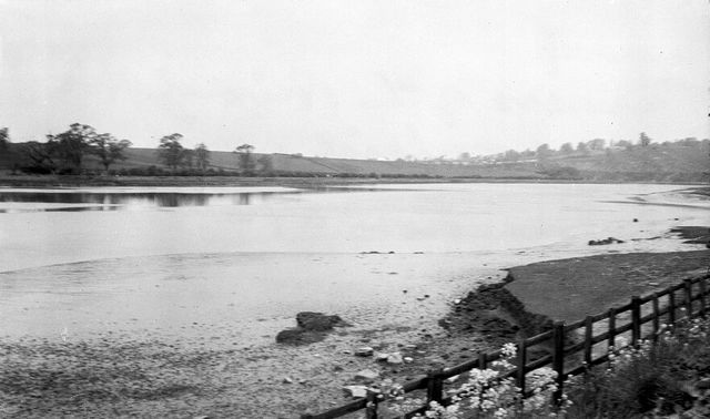 No text description is available for this image