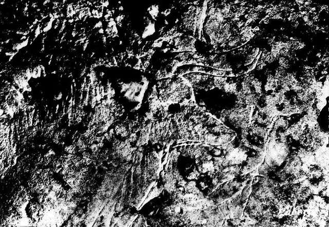 digitised image 1