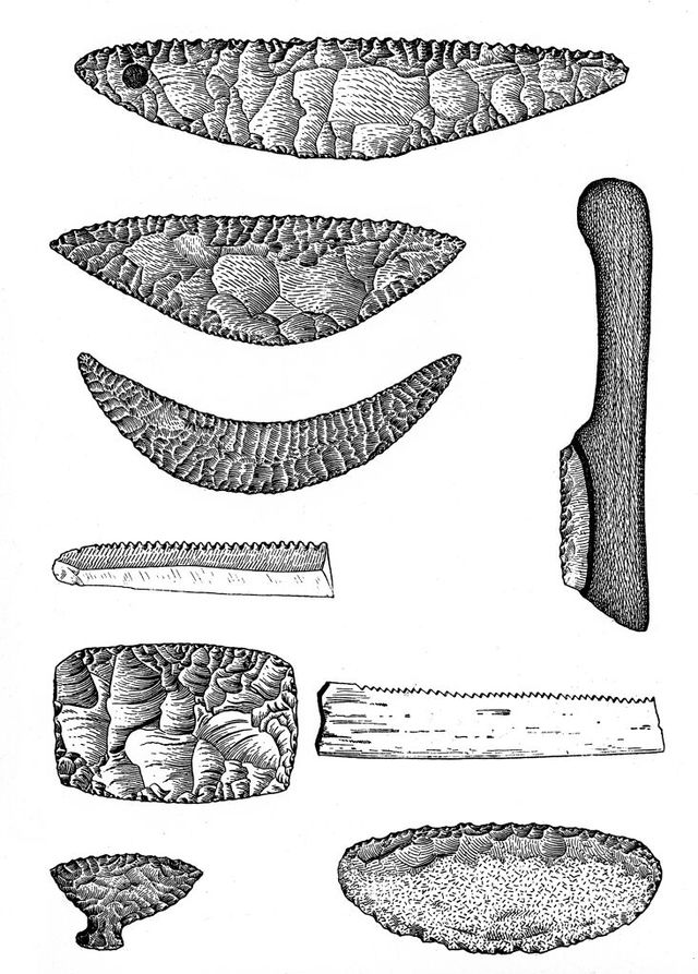 No text description is available for this image