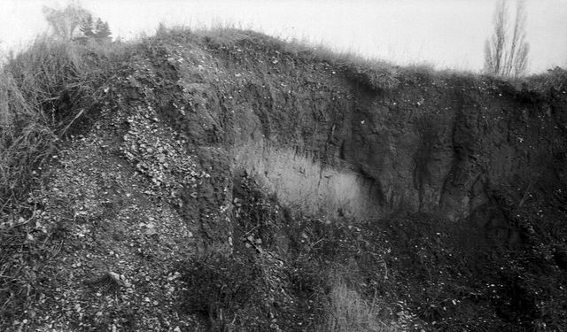 digitised image 1