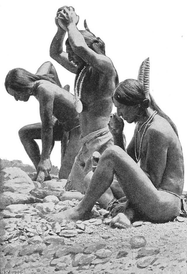 No text description is available for this image