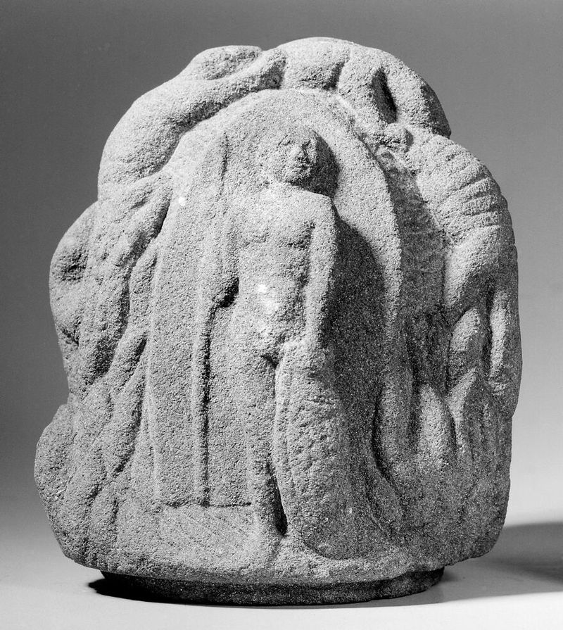 No text description is available for this image