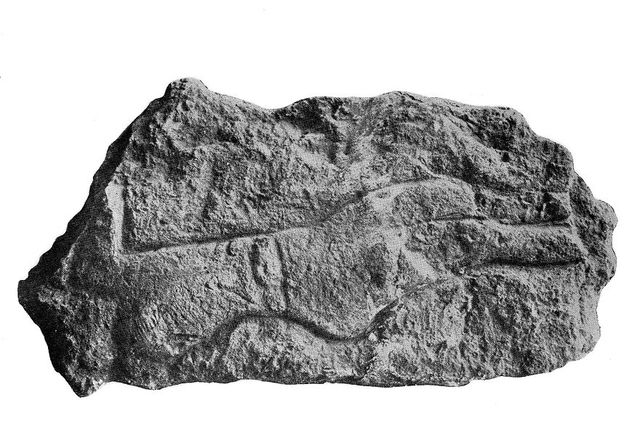 No text description is available for this image