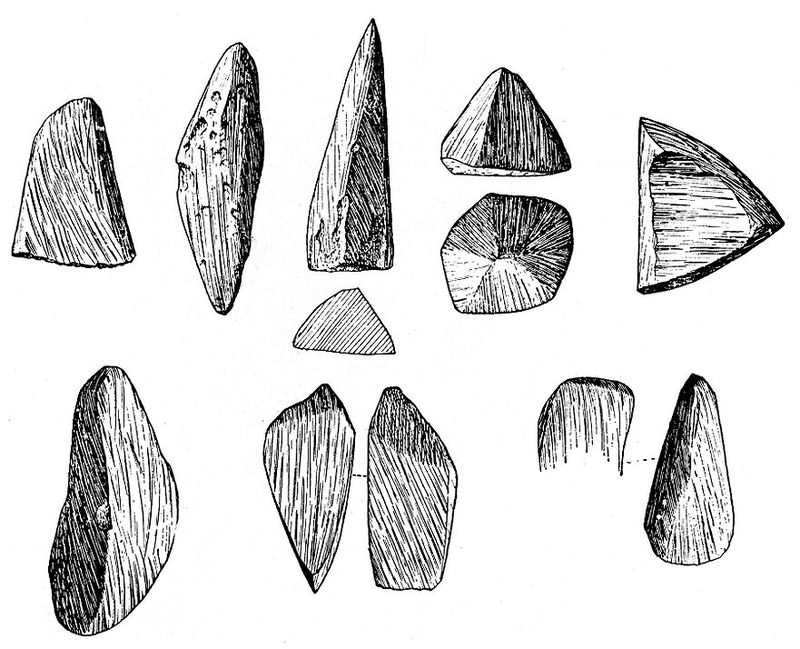 No text description is available for this image