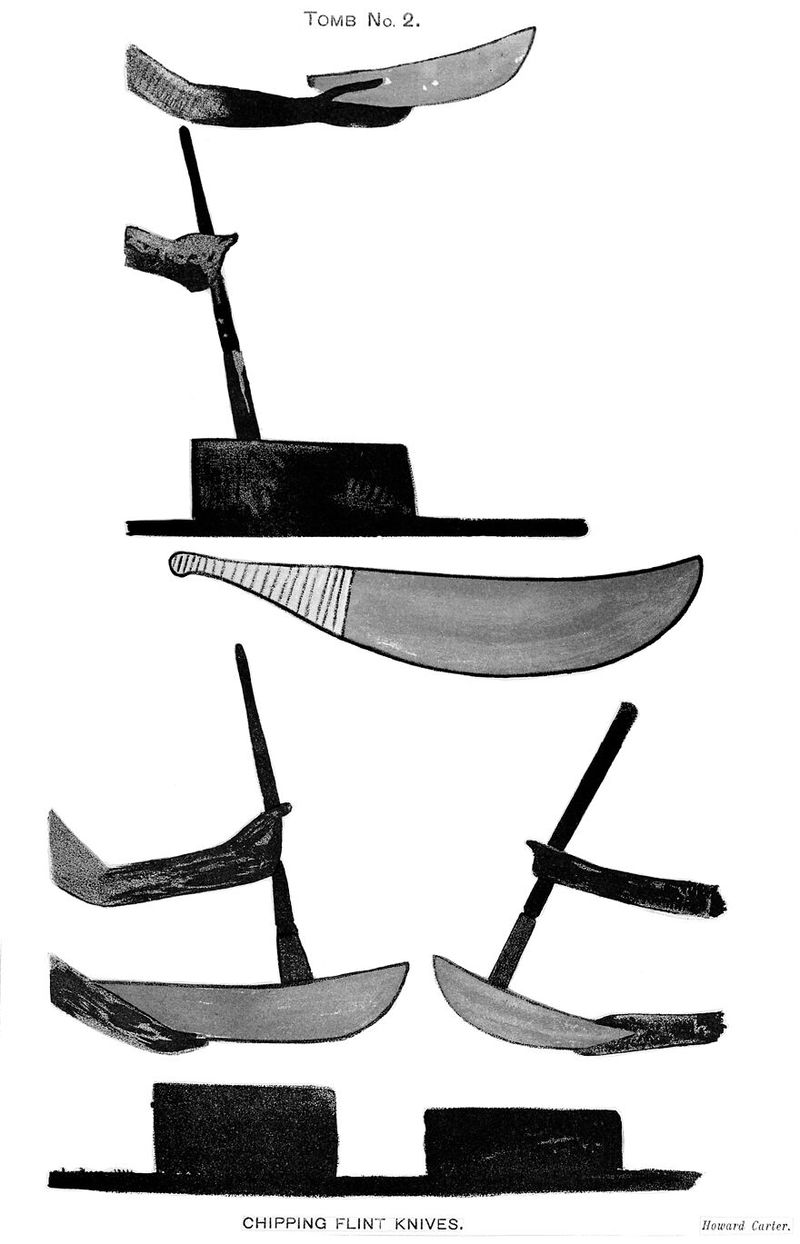 No text description is available for this image