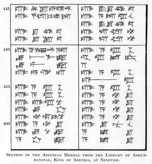 digitised image 1