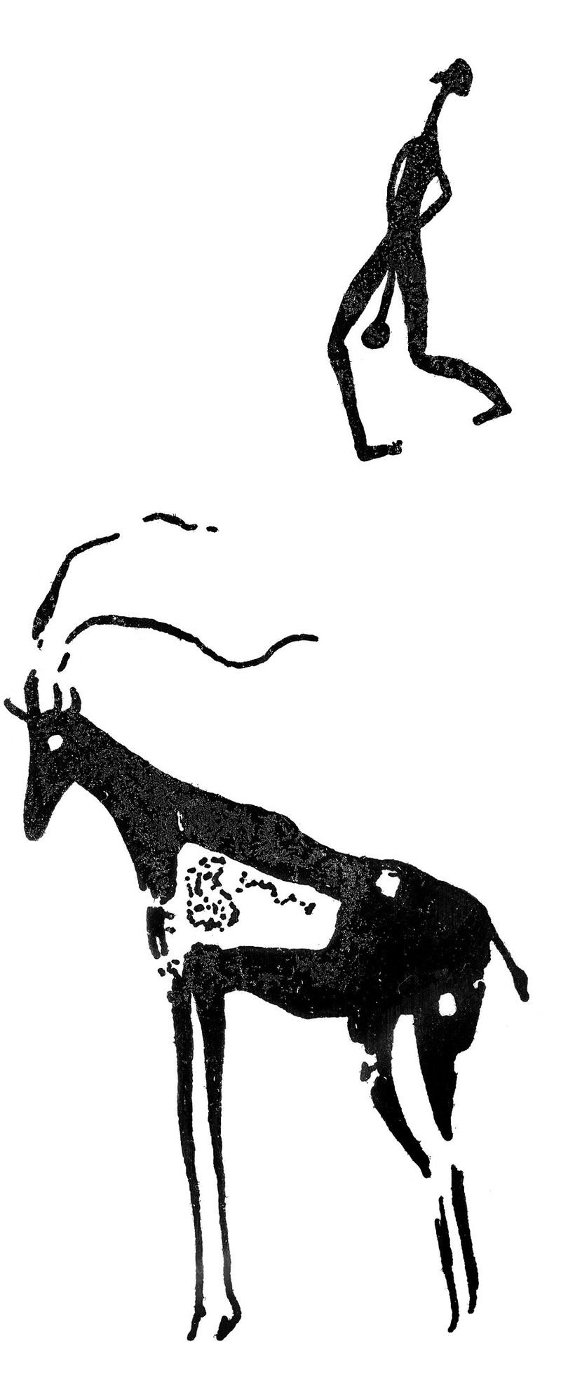 No text description is available for this image