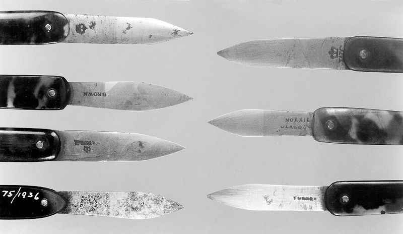 No text description is available for this image