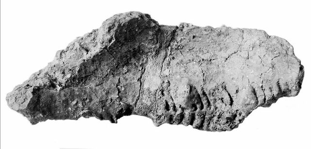 digitised image 1