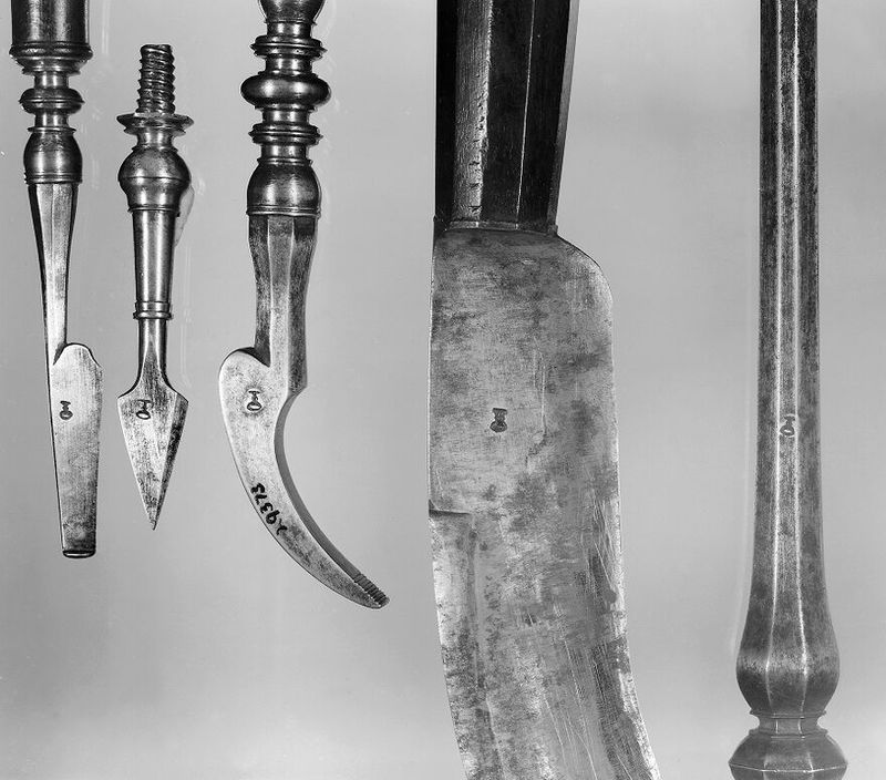 No text description is available for this image